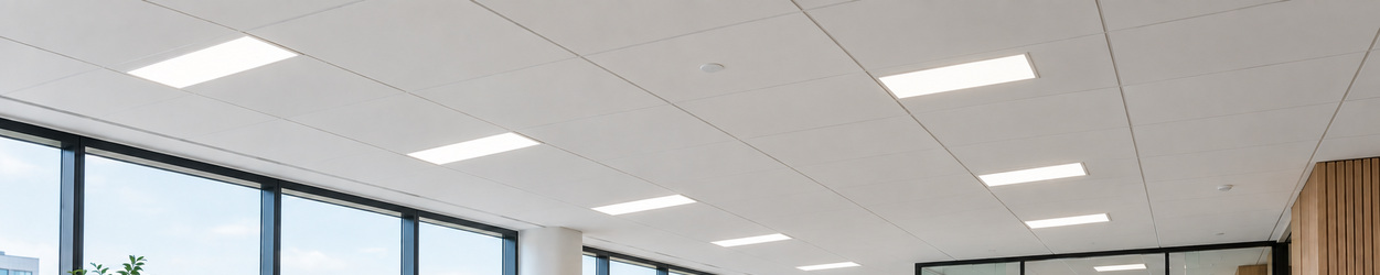 Paneles LED 30x60 cm