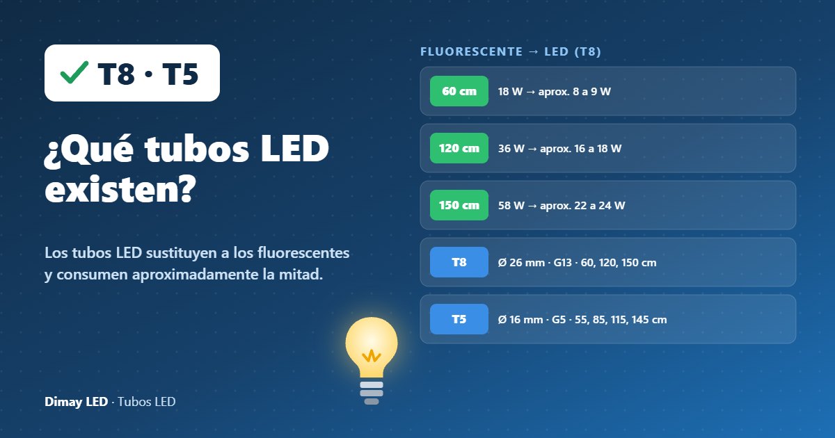 Infografía: ¿Qué tubos LED existen?